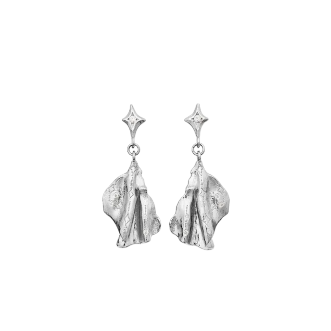 Hovedbilde Maanesten Gerda Øredobber ...