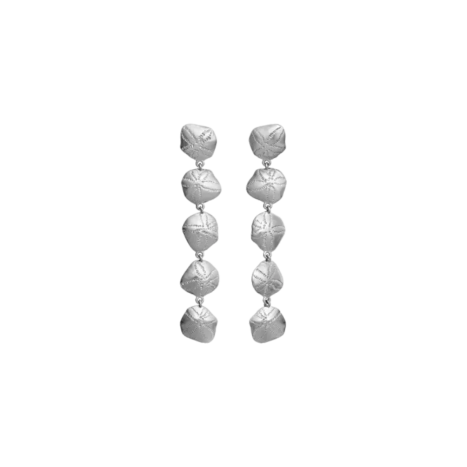 Hovedbilde Maanesten Kishi Øredobber ...