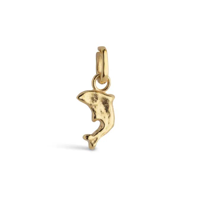 Hovedbilde Enamel Lekende Delfin charms